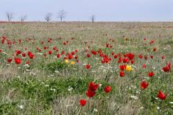 Ставрополь являлся военным центром всего Предкавказья