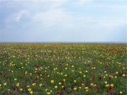 Ставрополь посетили многие известные люди России