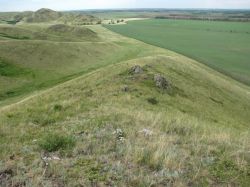 В Ставрополе были национализированы промышленные предприятия