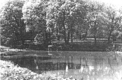 Пруд на Ртищевой даче