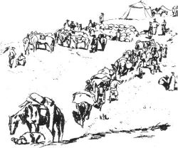 Второй этап фомирования города Ставрополя